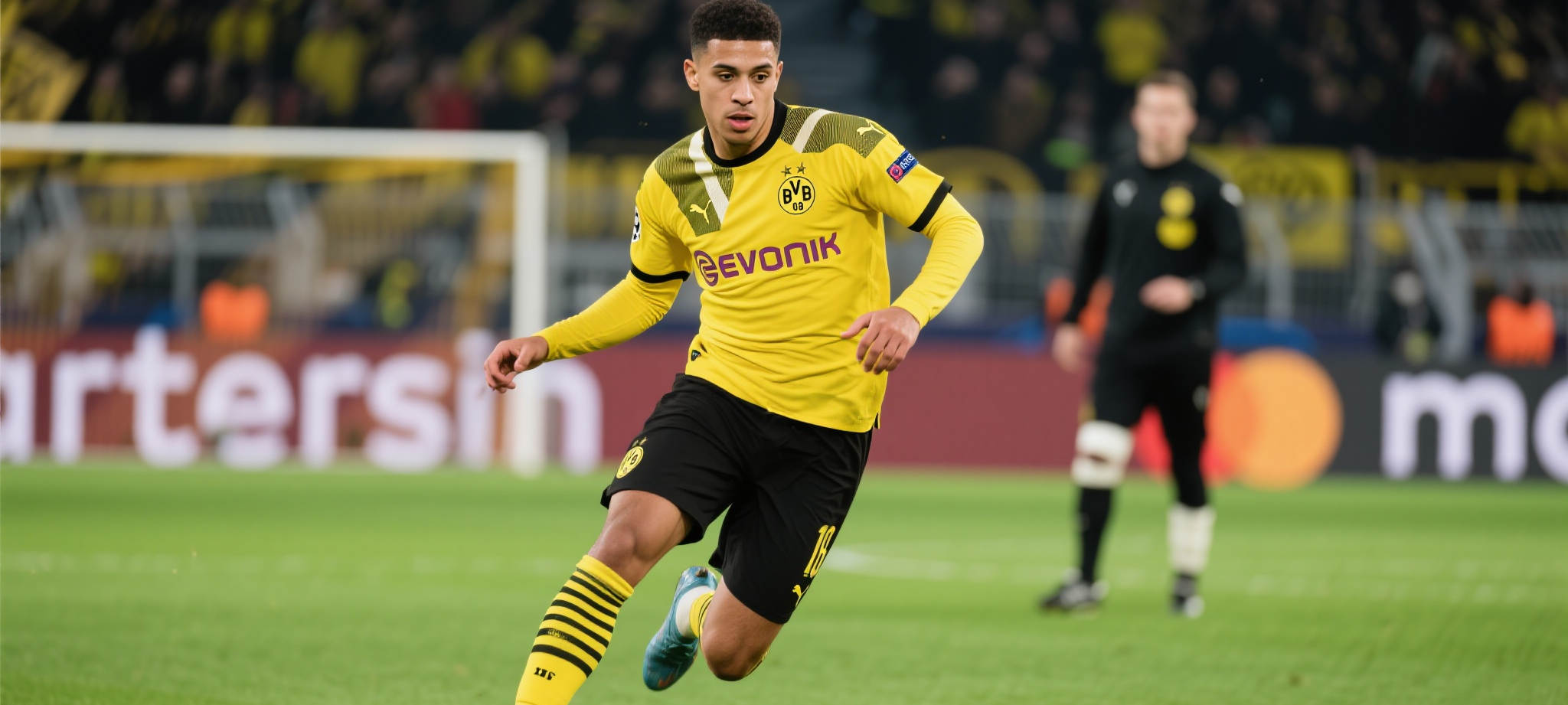 华体会体育简介